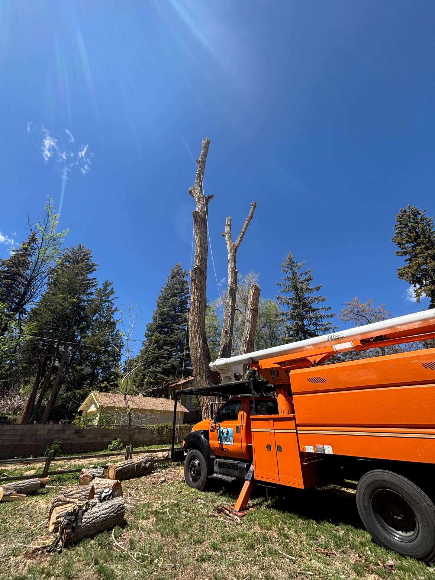 Commercial Removal