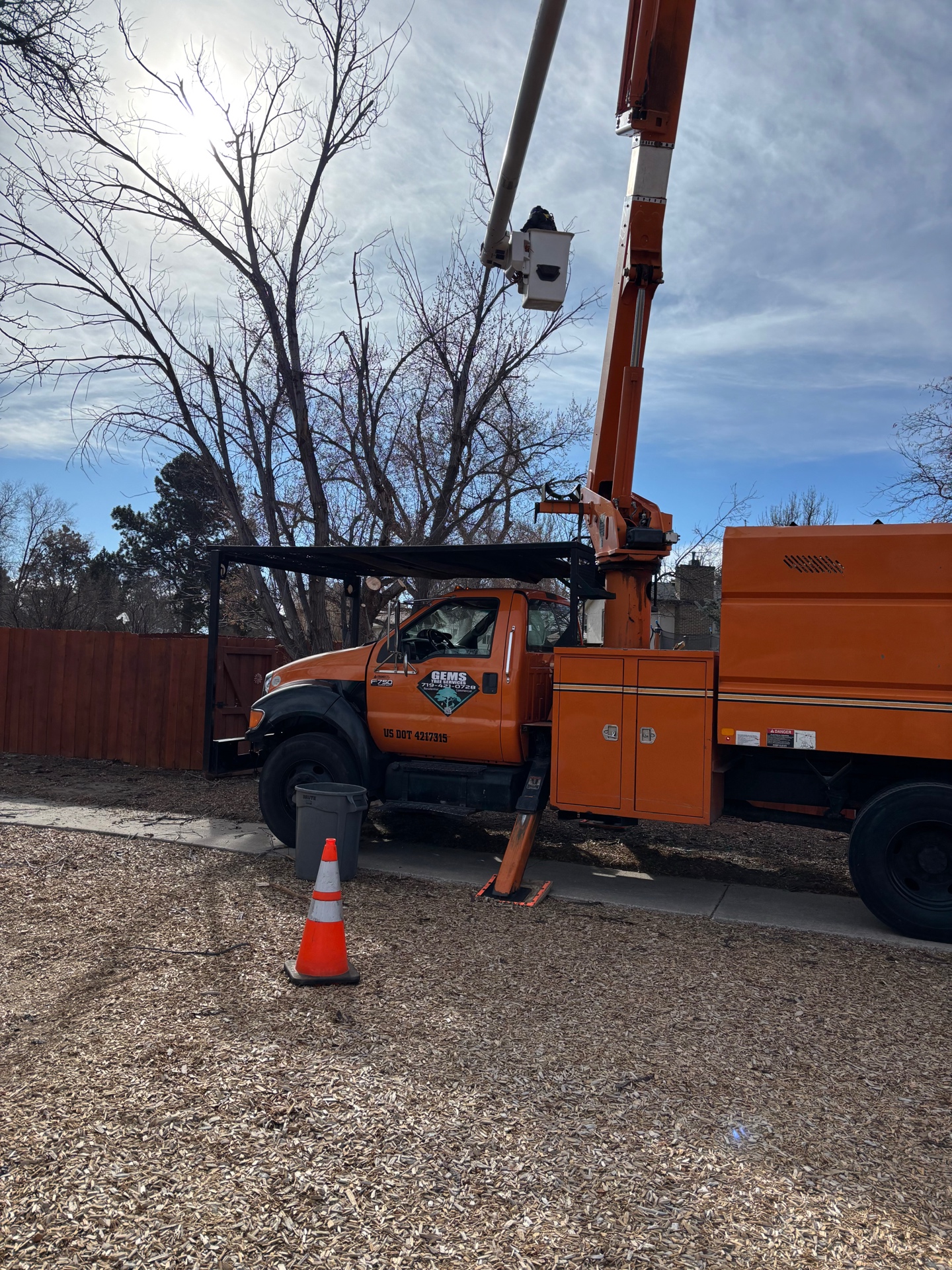 Large Branch Removal