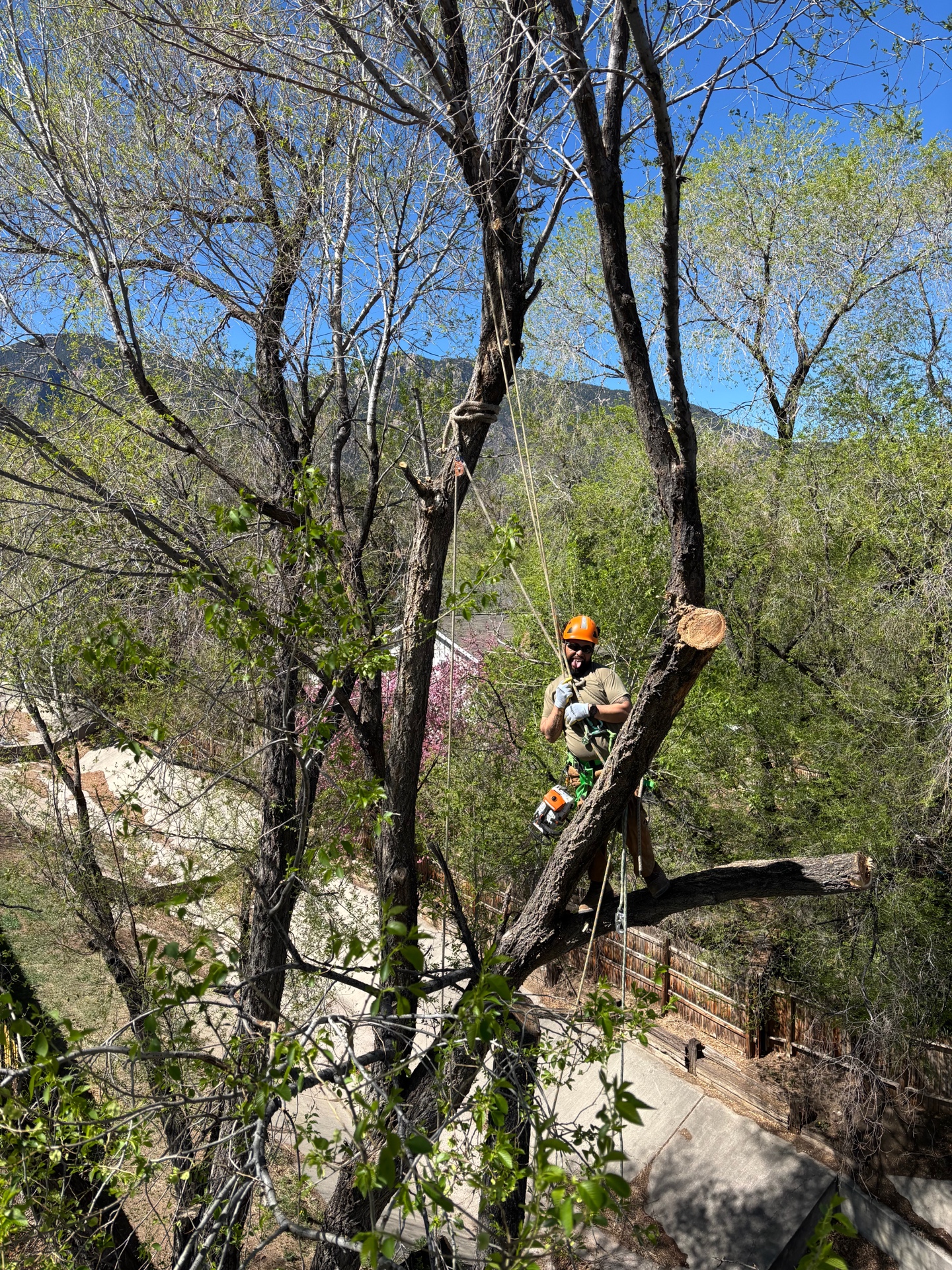 Precision Climbing